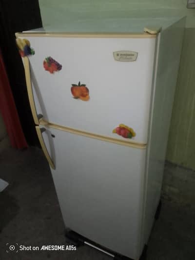 Brand new fridge amrcain tecloge medium size All ok
