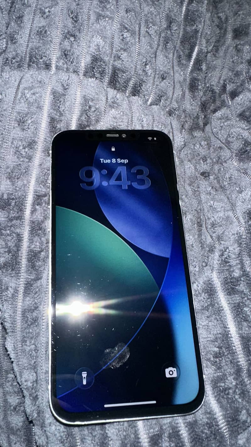 Apple iPhone 12 Pro Max 1