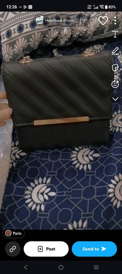 ladies bag