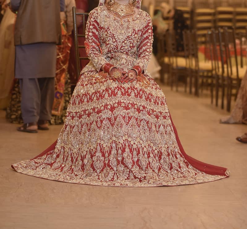 Bridle Lenga 0