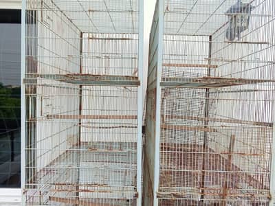 cages for birds a available