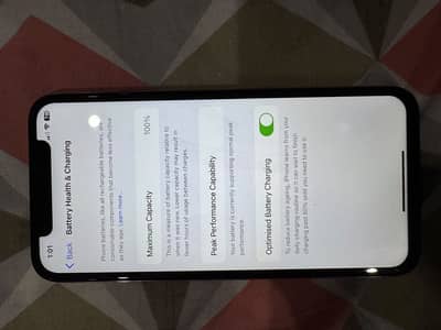 Apple iPhone X