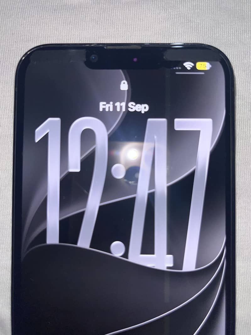 Apple iPhone 13 Pro 10