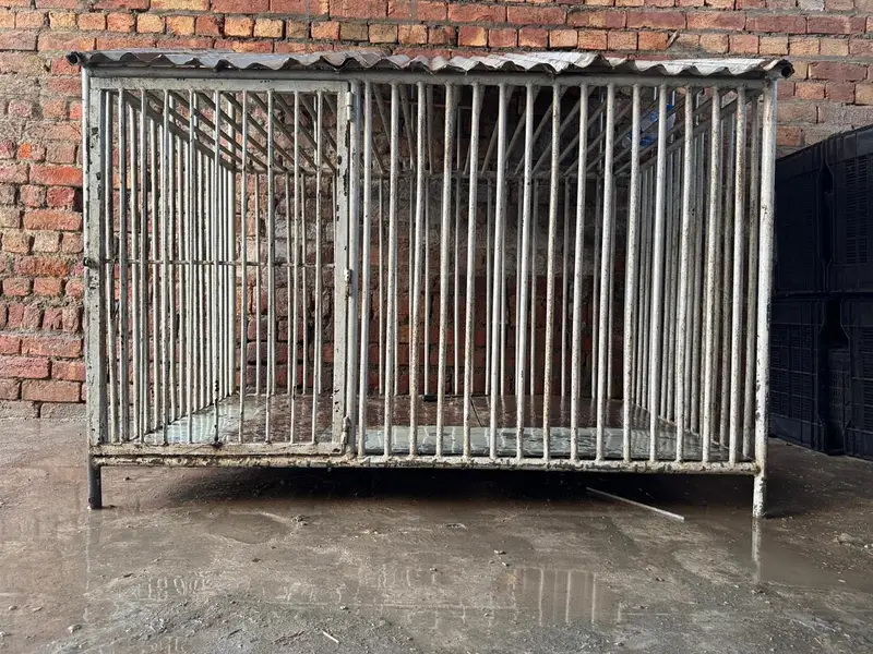 Dog / Lion Cage