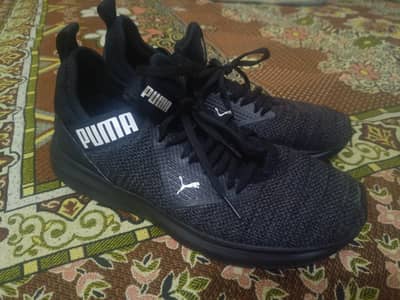 PUMA Men's Enzo Beta Woven Sneaker, Black-Asphalt, 10