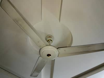 (3) Fan's of brand by the Super Asia Fans