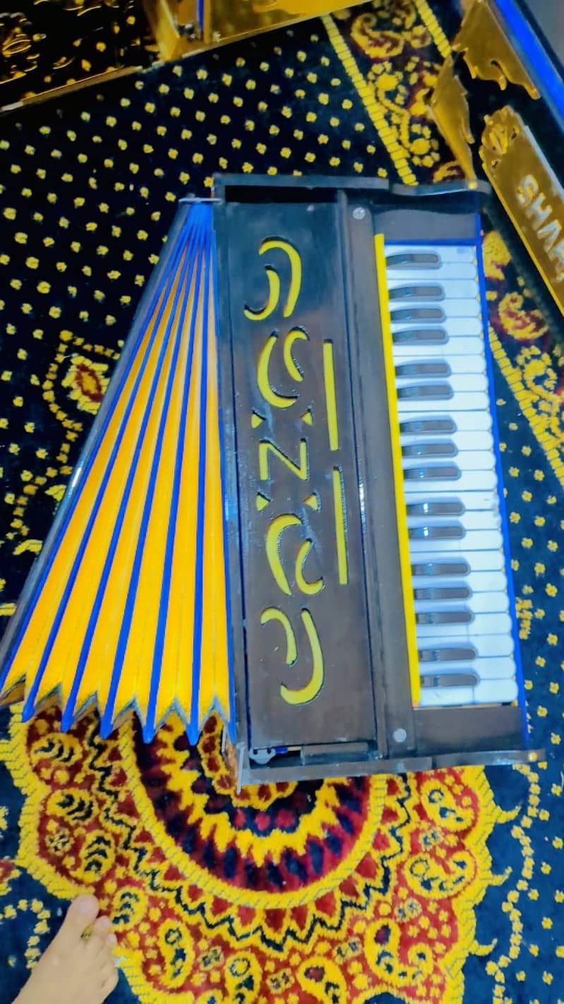 indian harmonium 2