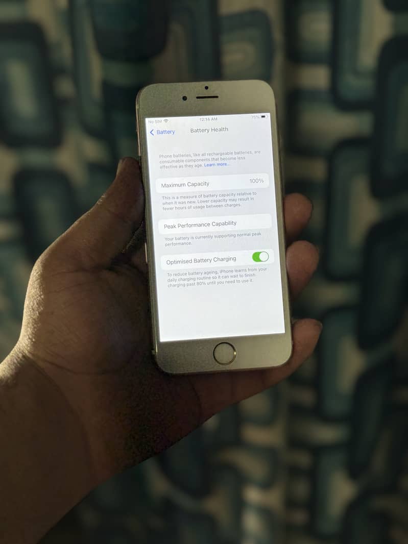 Apple iPhone 6S 5