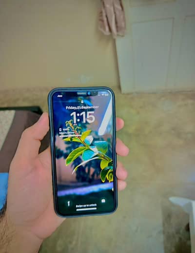 iPhone X PTA Approved 256 GB