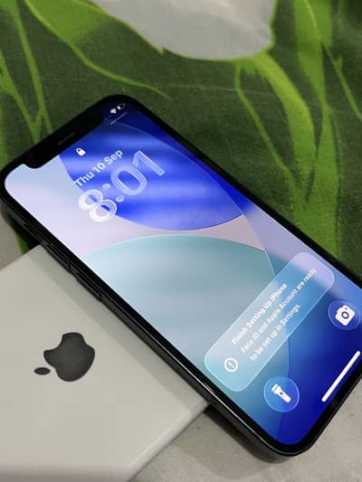 Apple iPhone 12 mini