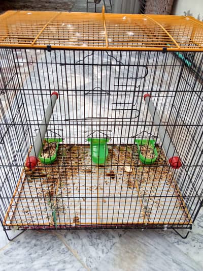 Raw parrot big size new cage. 03051031236