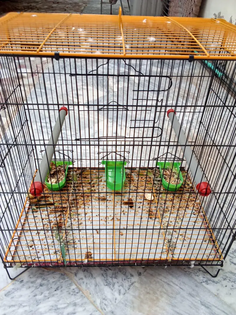 Raw parrot big size new cage. 03051031236
