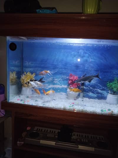 fish aquarium fore sale