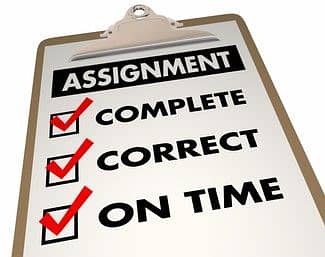 Handwritten & MS Word Assignments