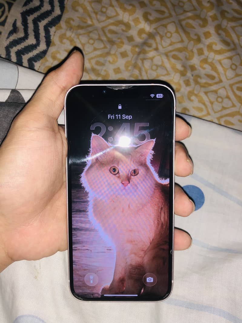 Apple iPhone 13 0