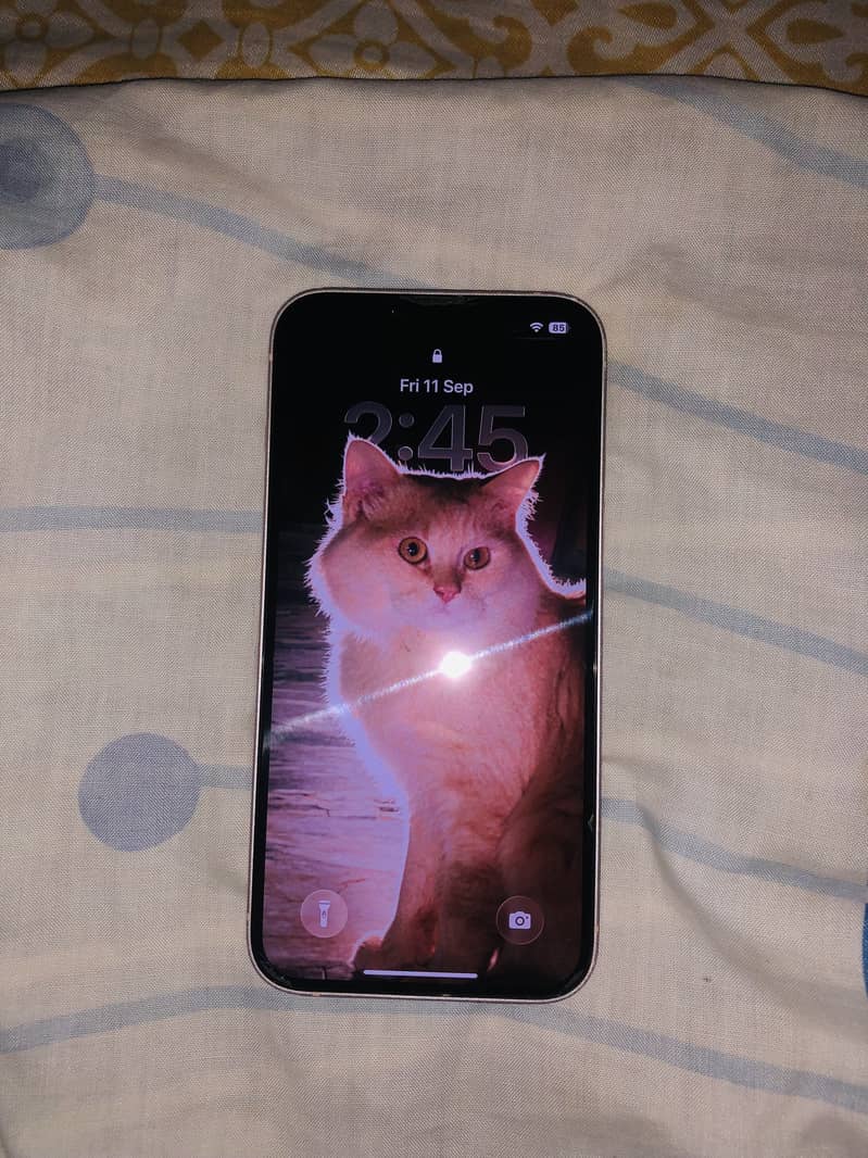 Apple iPhone 13 6