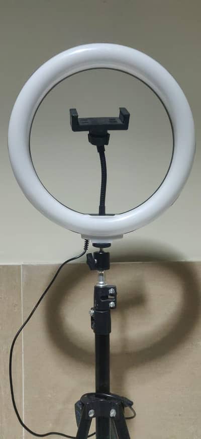 TikTok stand for sale best price