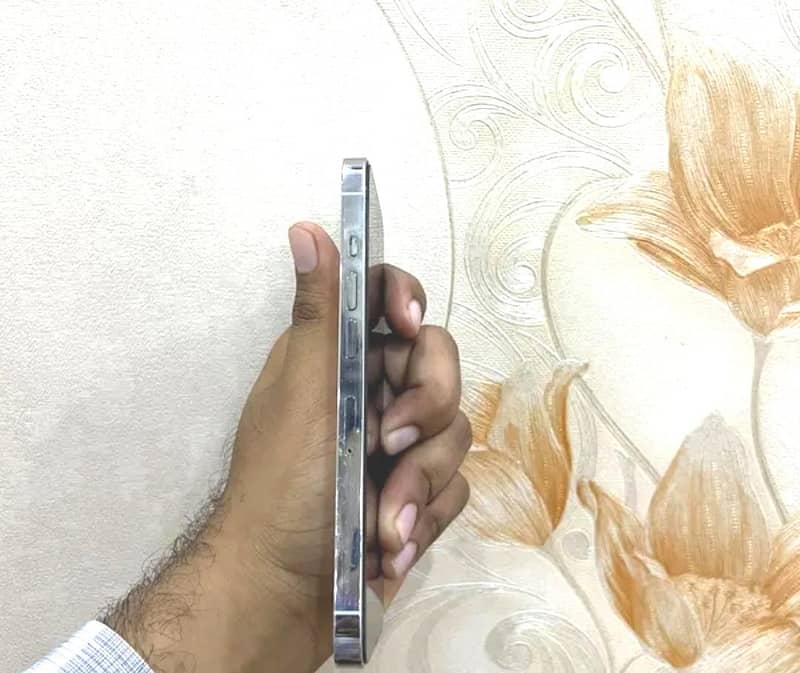 Apple iPhone 13 Pro 2