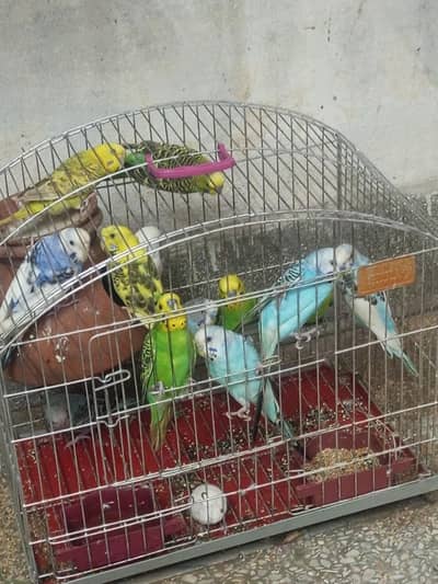 colony for sale