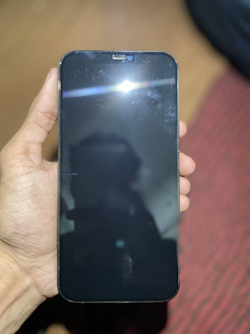 Apple iPhone 12 Pro Max 3