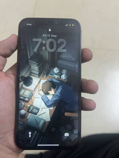 Apple iPhone 12 Pro