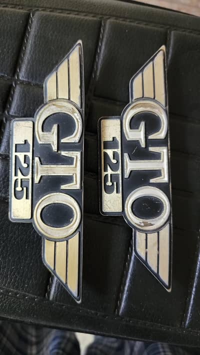 Kawasaki GTO 125 side cover Monograms
