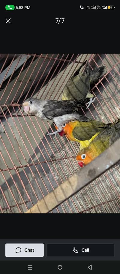argent sale home breadr pair 0324/98/80/541