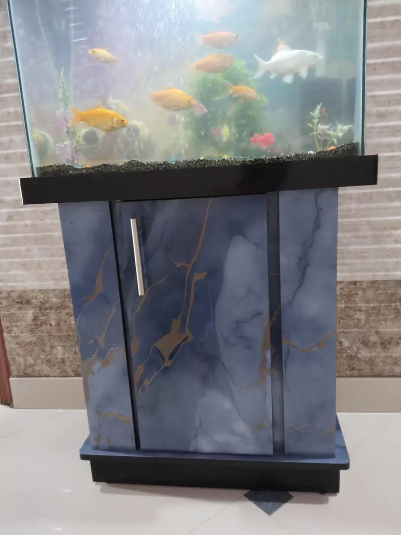 fish aquarium with complete accessories with 14 fish — photo 4