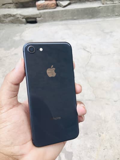 Apple iPhone 8 water pack 64gb