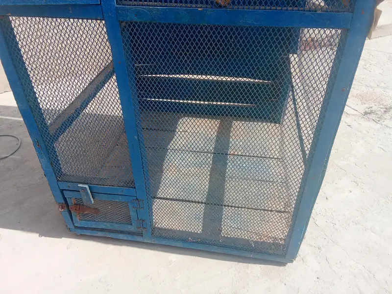 best wooden cage — photo 2