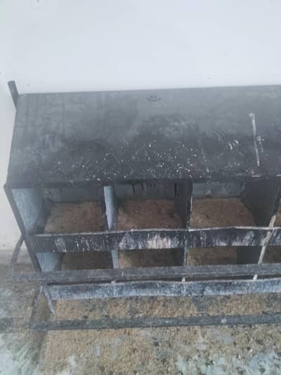 Eggs laying nests for hens