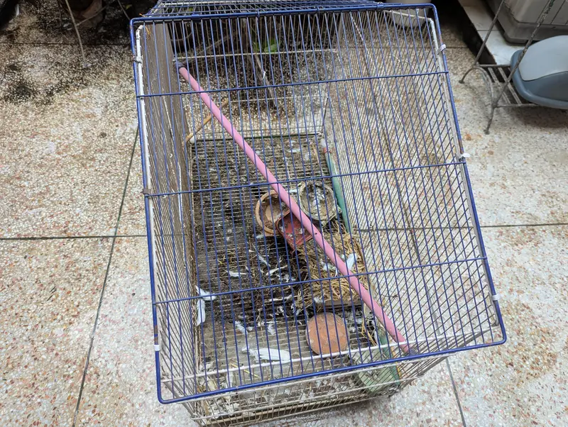3 Birds Cage — photo 2