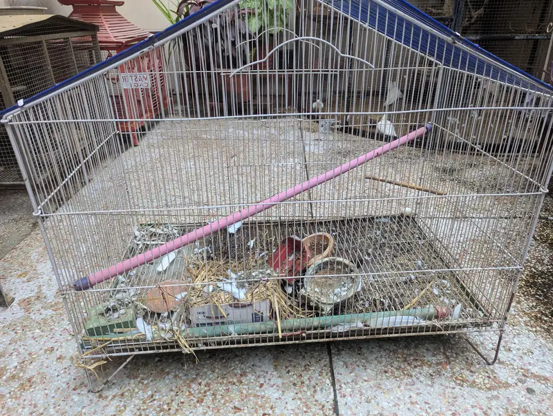 3 Birds Cage — photo 3