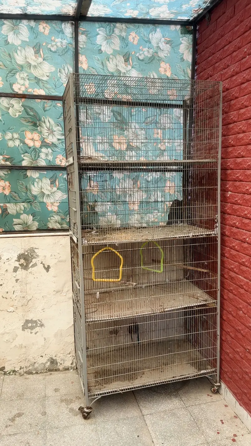 Love birds cage — photo 4