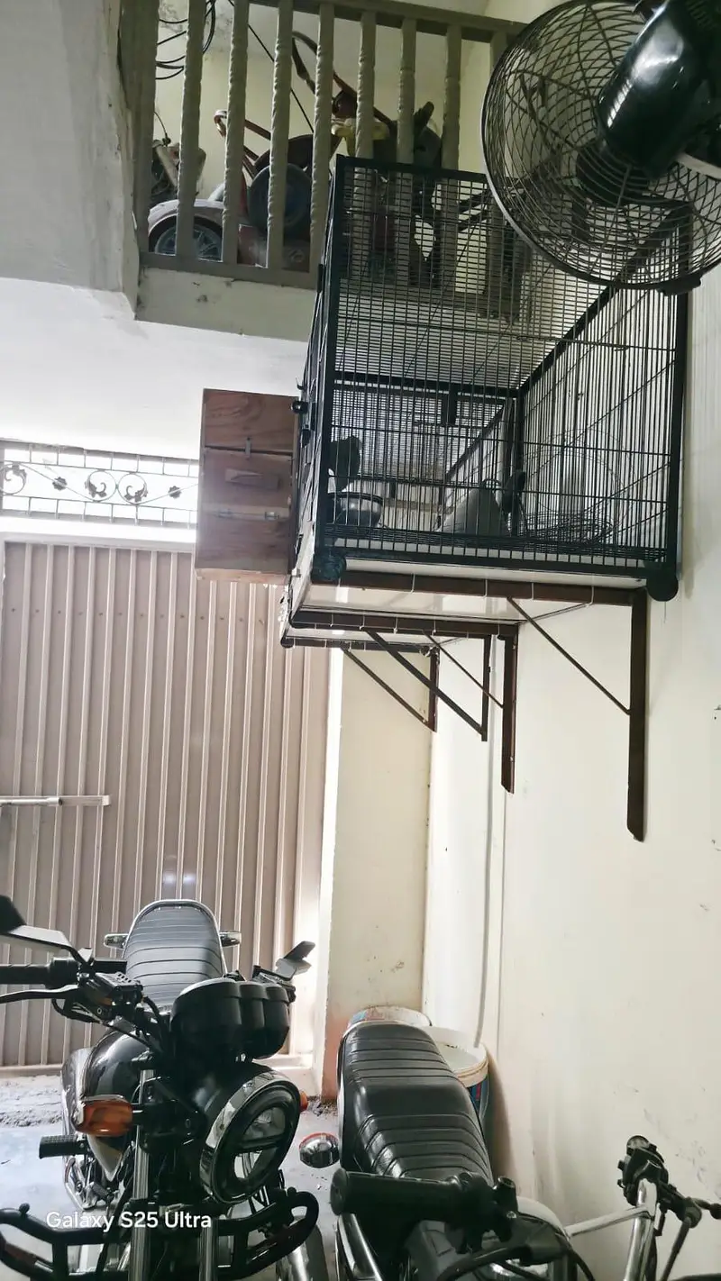 2 cages with 1 breading box — photo 2