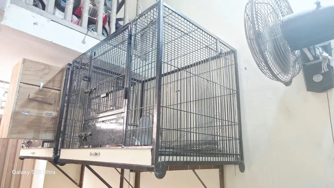 2 cages with 1 breading box — photo 4