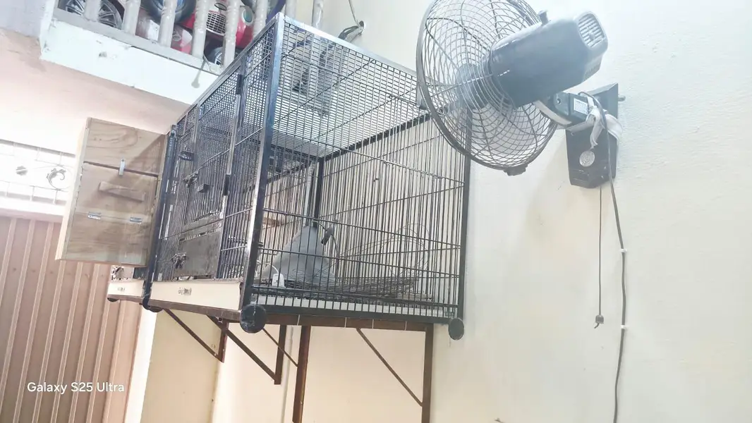 2 cages with 1 breading box — photo 5