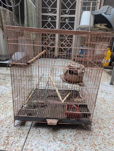 2 Birds Cage