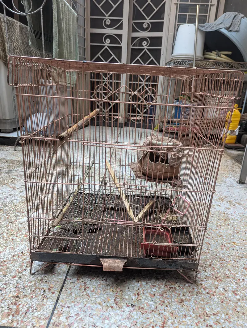 3 Birds Cage — photo 5