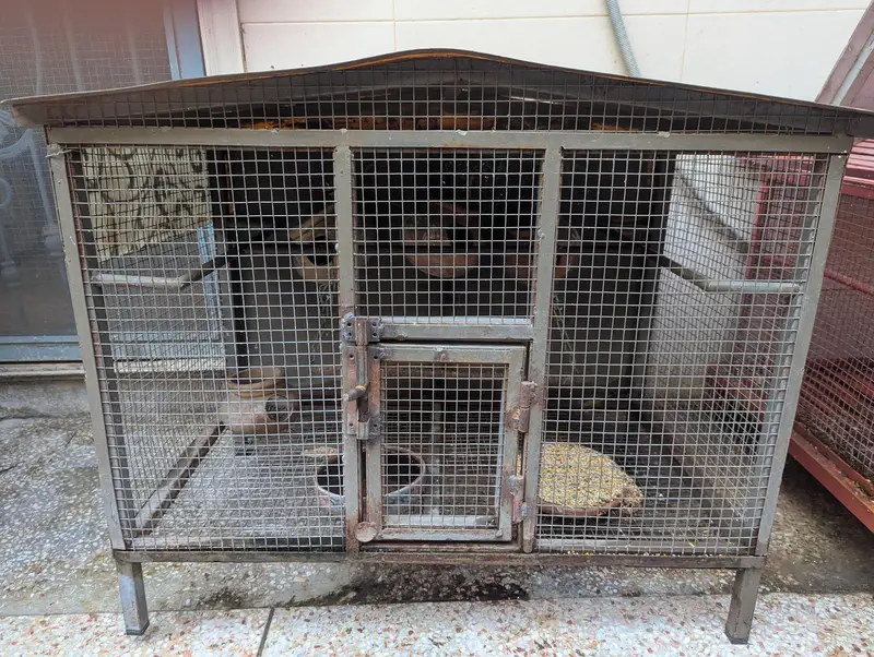 3 Birds Cage — photo 9