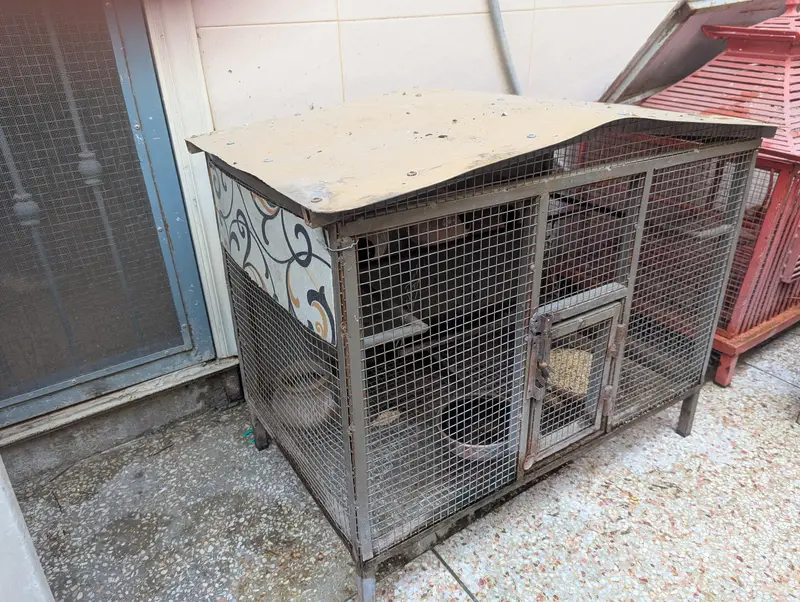 3 Birds Cage — photo 10