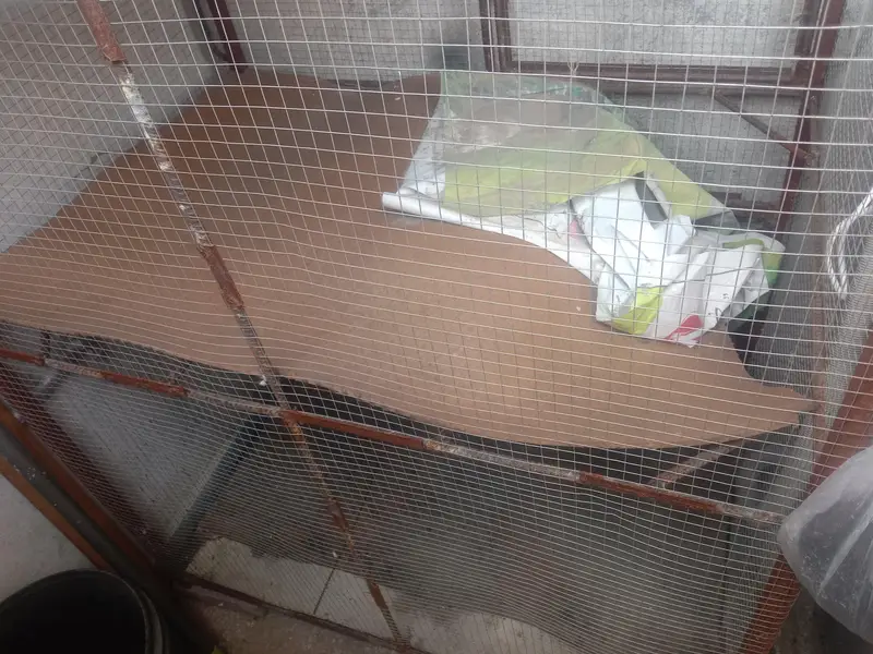 Iron Cage — photo 2