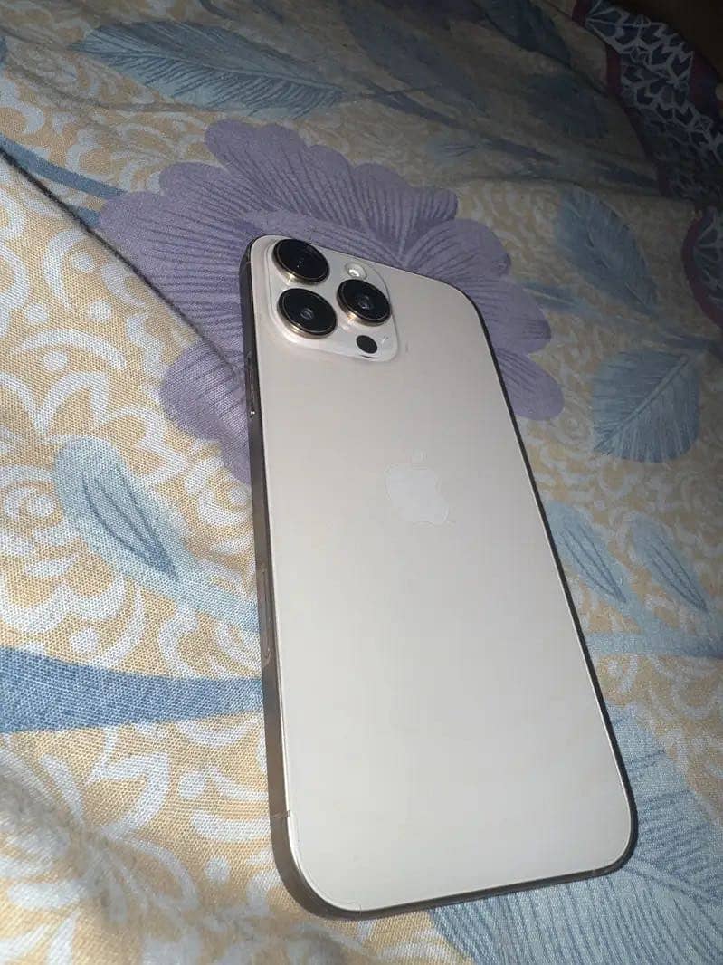Apple iPhone 16 Pro Max 1