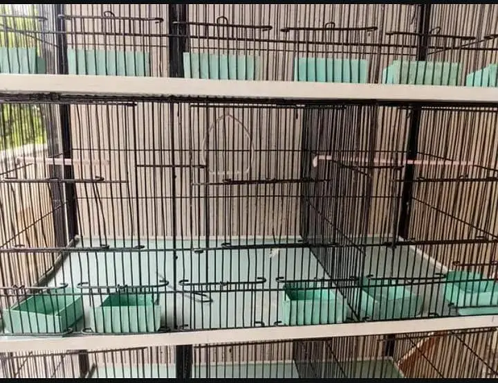 12 portion cage for sale - great condition — photo 4