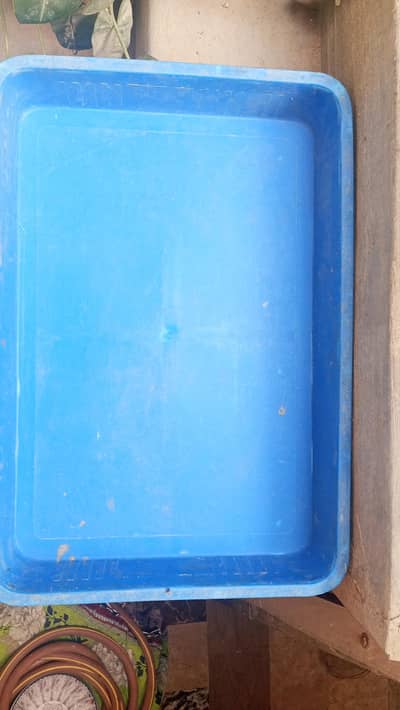 mealworm trays