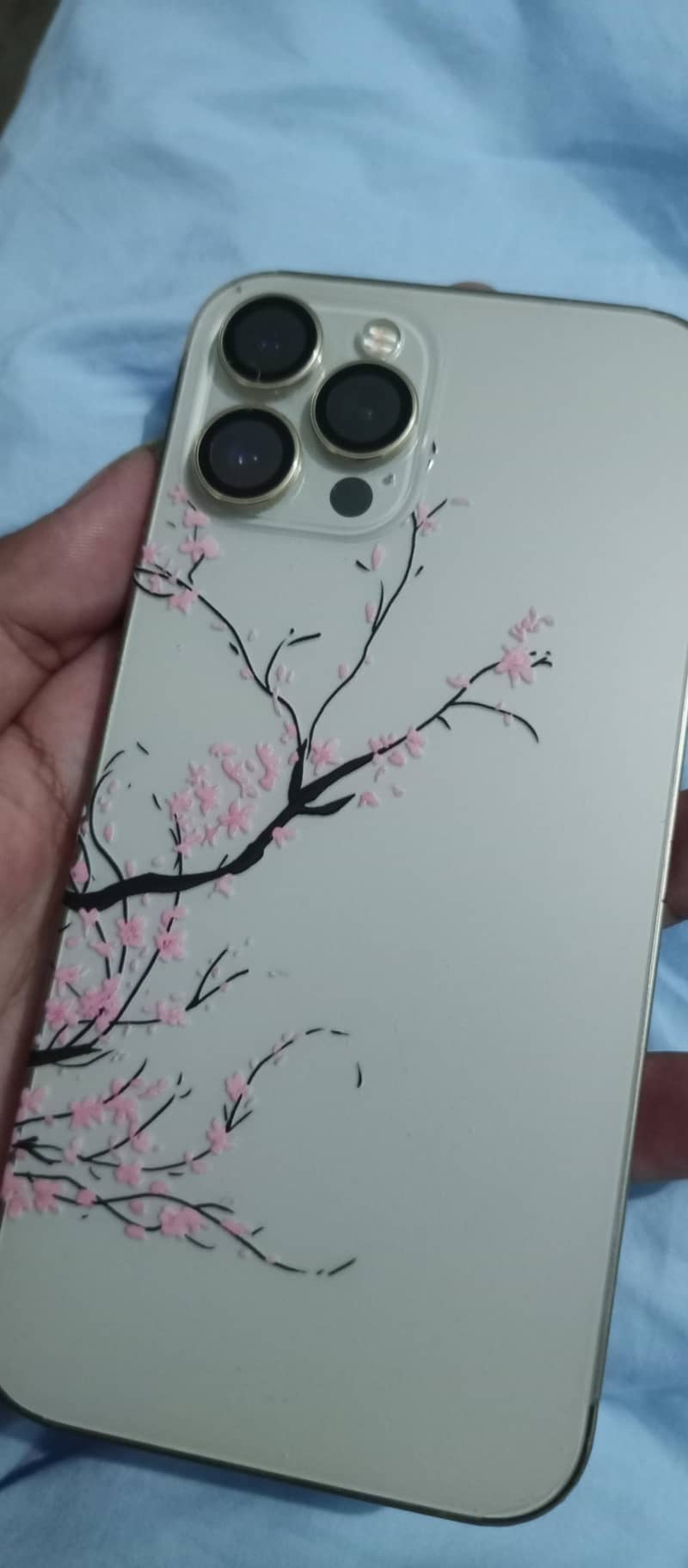 Apple iPhone 12 Pro Max 6