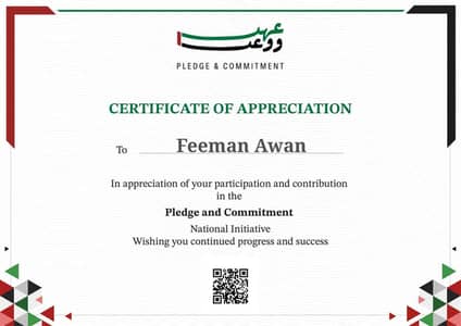 Malik Feeman Awan