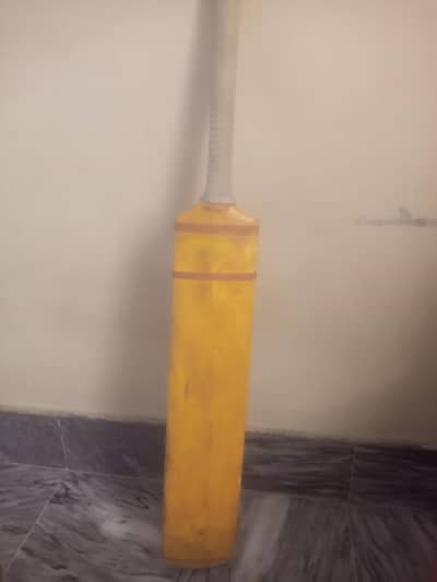 coconut bat