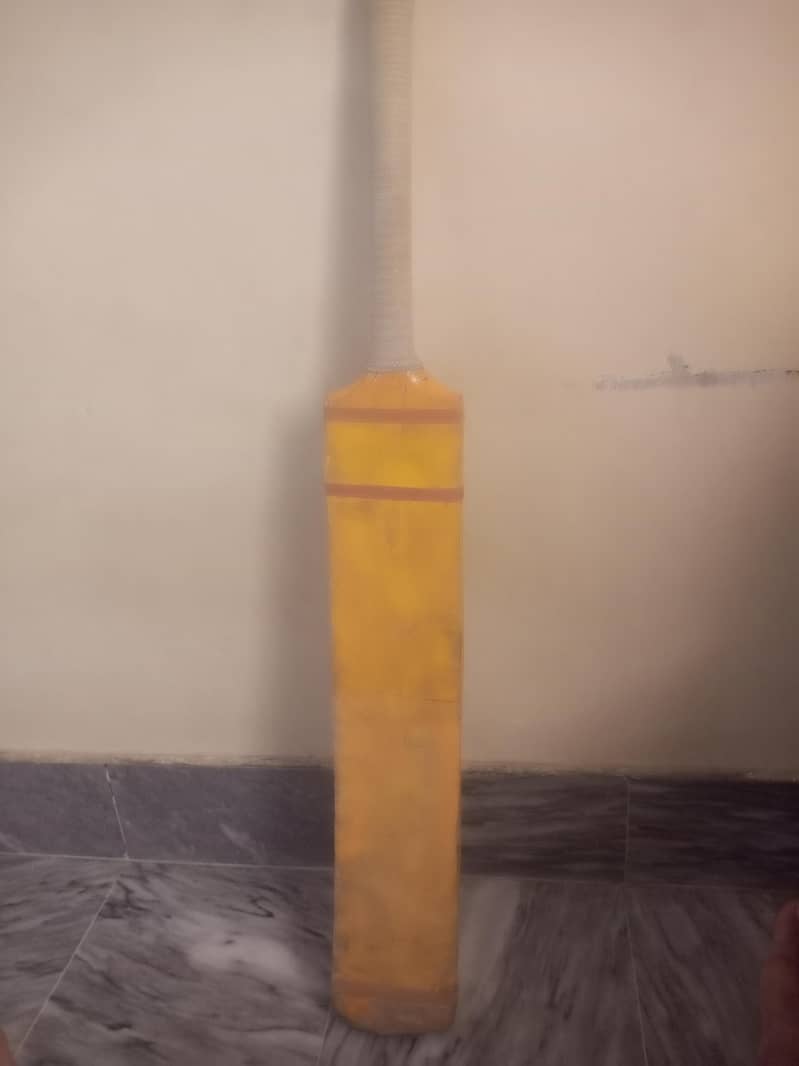coconut bat 1