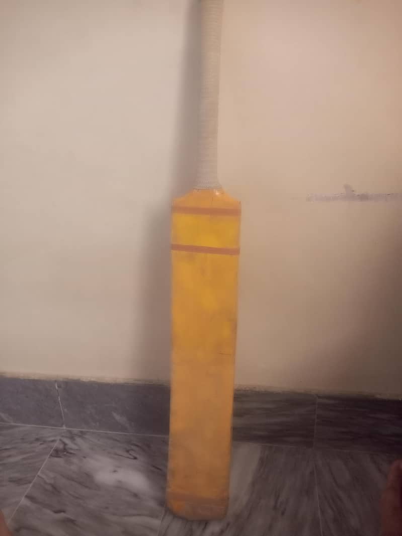 coconut bat 2